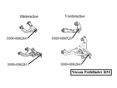 Traggelenk VA unten; HA oben